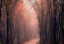 [NBA]亨特32分7篮板 骑士战胜开拓者.