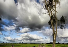 差距太大!肖恩墨菲:拼尽全力赢4个三大赛冠军.