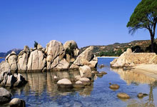 九游娱乐官网:希罗发底线球长传阿德巴约,热火半场前最后一攻打出精妙配合.